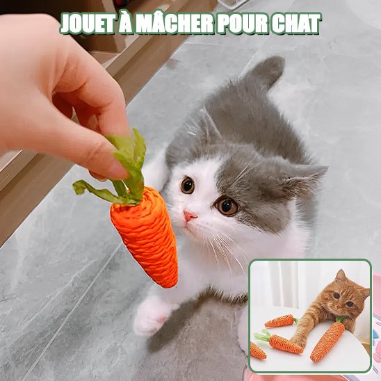 Jouet pour chat en forme de carotte - universmiaou