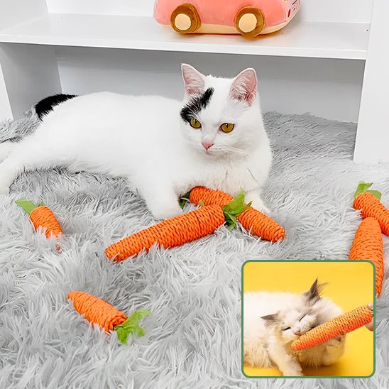 Jouet pour chat en forme de carotte - universmiaou