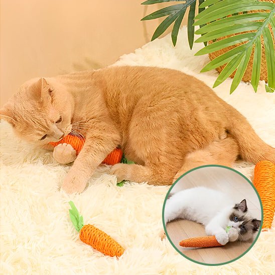 Jouet pour chat en forme de carotte - universmiaou