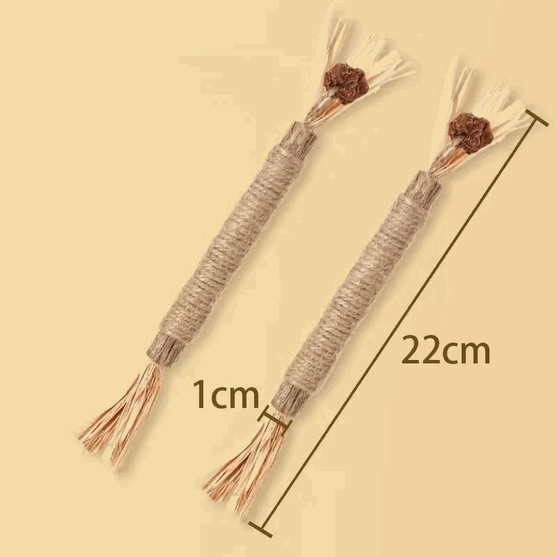 Jouets molaires de chat en bois naturel - universmiaou