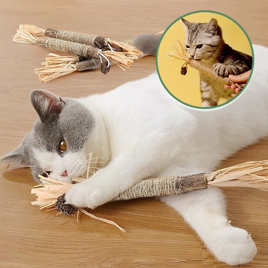 Jouets molaires de chat en bois naturel - universmiaou