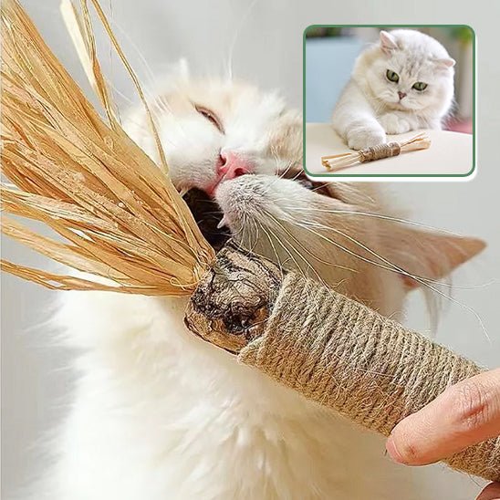 Jouets molaires de chat en bois naturel - universmiaou