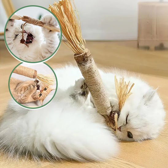 Jouets molaires de chat en bois naturel - universmiaou