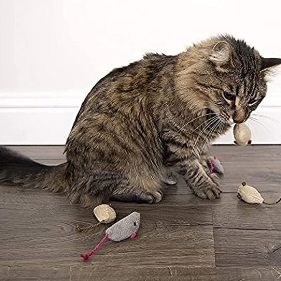 Jouets pour chat en peluche - universmiaou