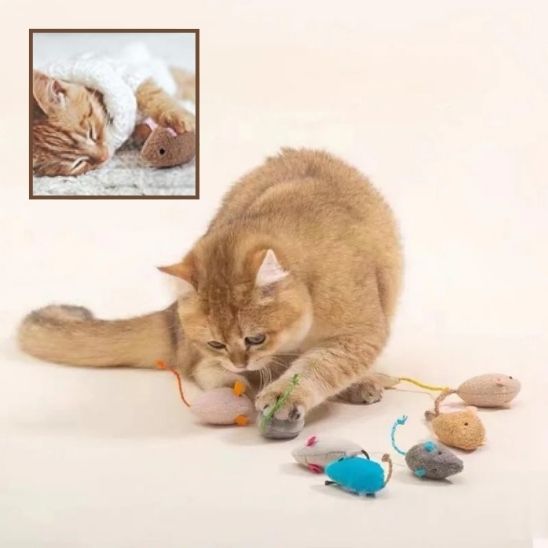 Jouets pour chat en peluche - universmiaou