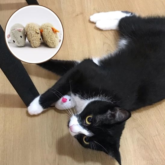 Jouets pour chat en peluche - universmiaou