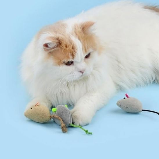 Jouets pour chat en peluche - universmiaou
