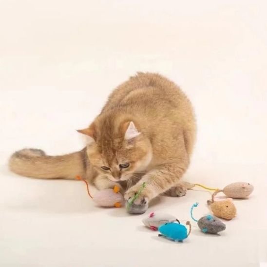 Jouets pour chat en peluche - universmiaou