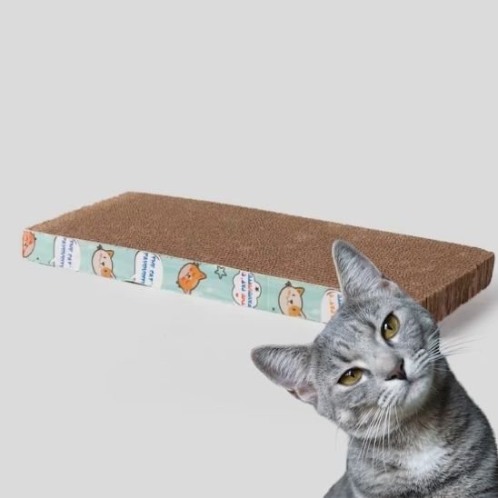 Lit griffoir pour chat - universmiaou