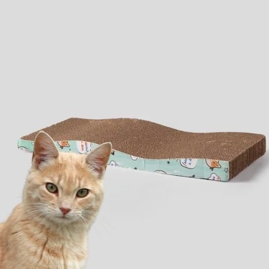 Lit griffoir pour chat - universmiaou