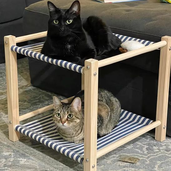 Lit hamac pour chat avec structure en bois - universmiaou