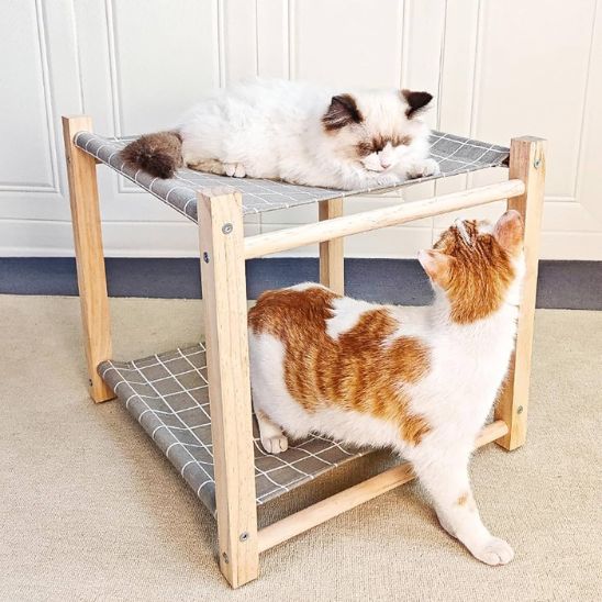 Lit hamac pour chat avec structure en bois - universmiaou