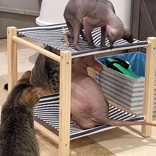 Lit hamac pour chat avec structure en bois - universmiaou