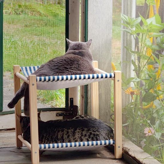 Lit hamac pour chat avec structure en bois - universmiaou
