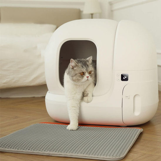 litière intelligente et autonettoyante pour chat
