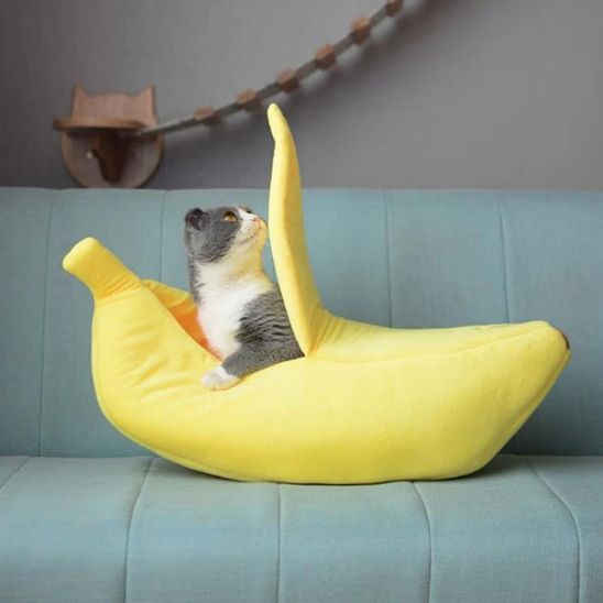 panier chaud pour chat - universmiaou