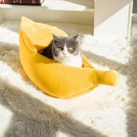 panier chaud pour chat - universmiaou