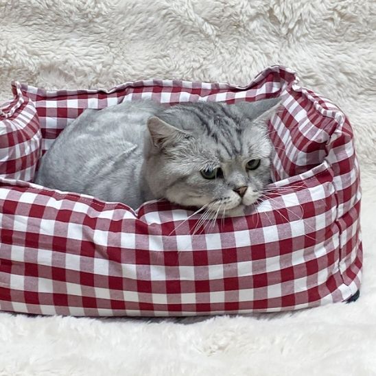 panier moyen et doux pour chat - universmiaou