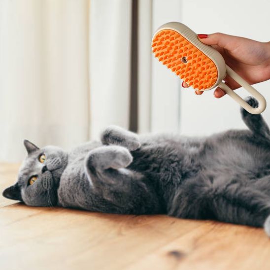 Peigne de massage électrique pour chats - universmiaou