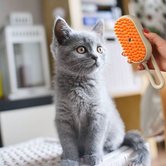Peigne de massage électrique pour chats - universmiaou