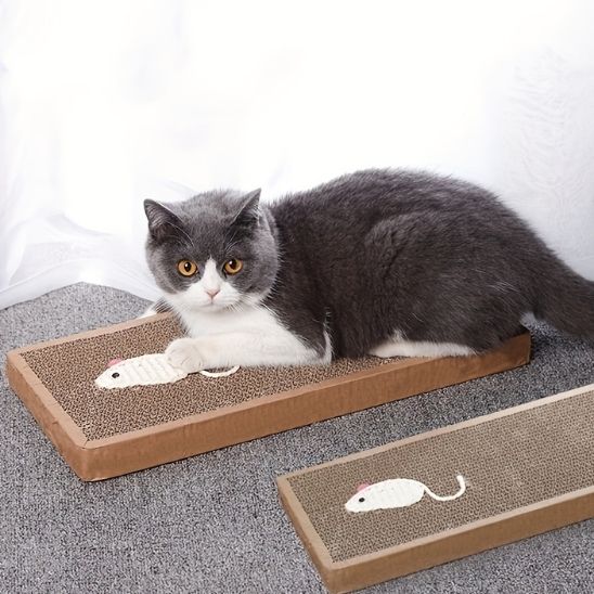 Planche à gratter amusantes pour chat - universmiaou