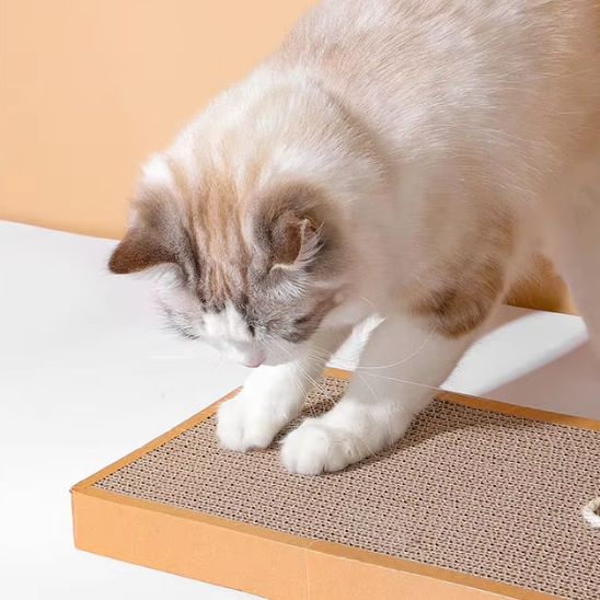 Planche à gratter amusantes pour chat - universmiaou
