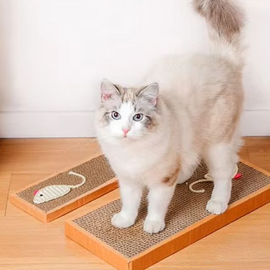 Planche à gratter amusantes pour chat - universmiaou
