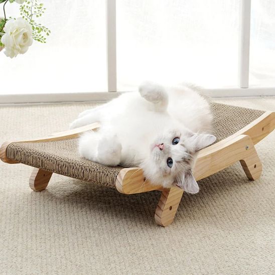 Planche à gratter pour chat - universmiaou