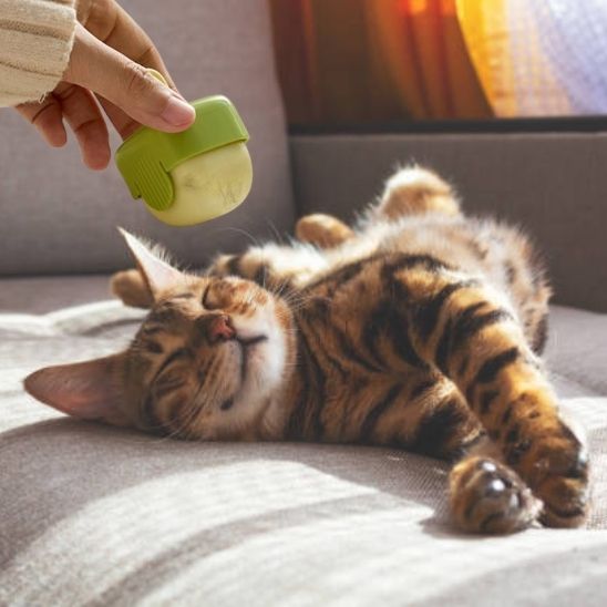 Rouleau anti - peluche pour poils de chats - universmiaou