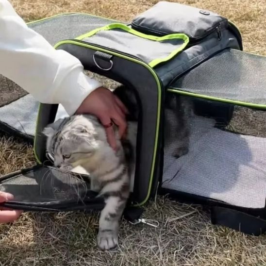 sac a chat - universmiaou