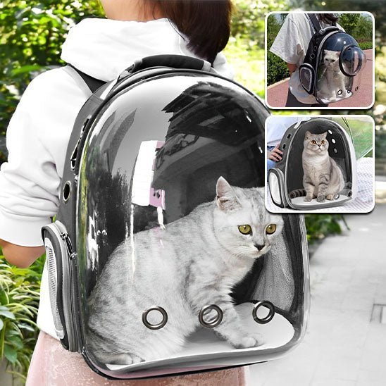 sac a dos chat transparent - universmiaou
