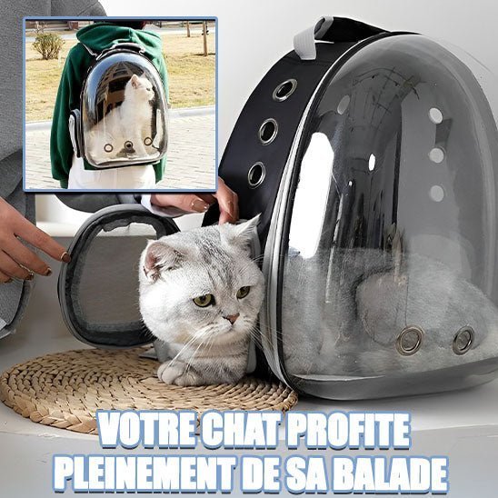 sac a dos chat transparent - universmiaou