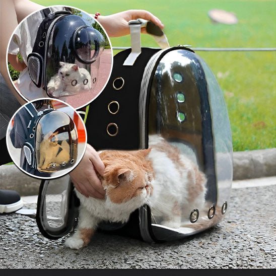 sac a dos chat transparent - universmiaou