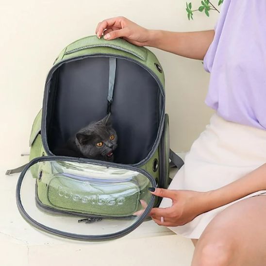 sac a dos chat - universmiaou