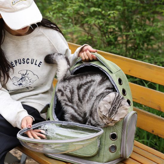 sac a dos chat - universmiaou