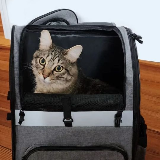 sac a dos pour chat - universmiaou