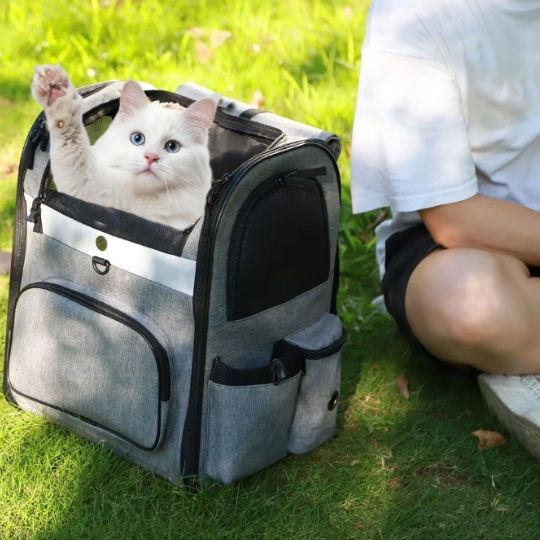 sac a dos pour chat - universmiaou