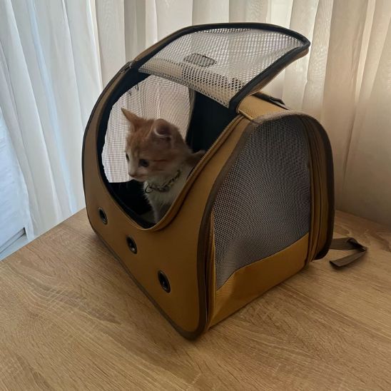 sac à dos pour chat - universmiaou