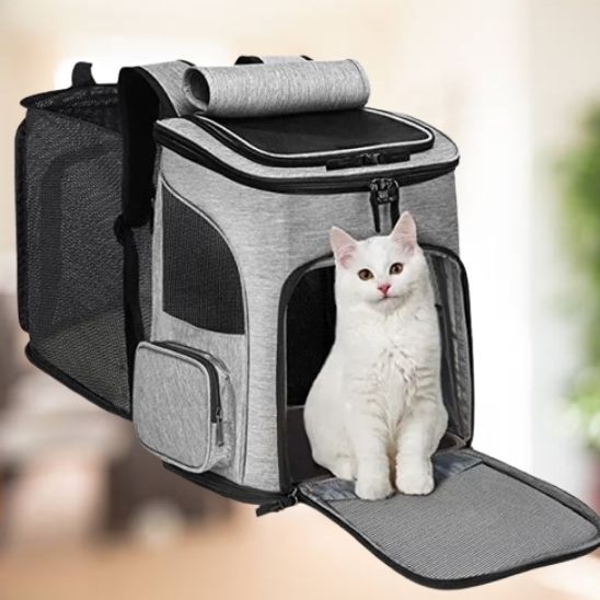 sac a dos pour chat - universmiaou