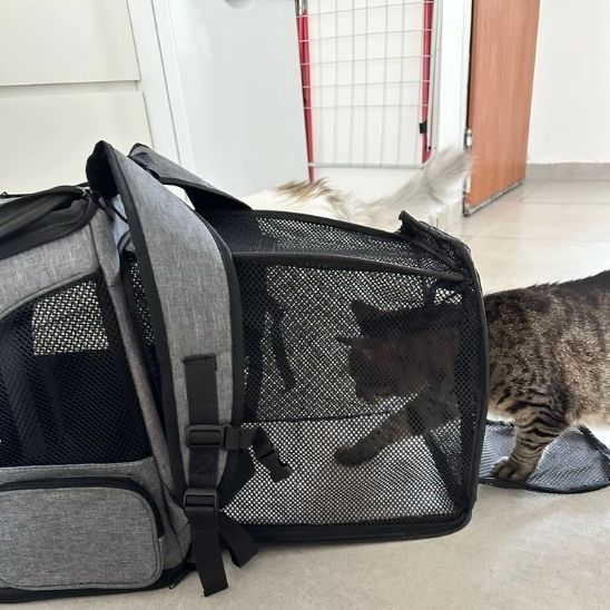 sac a dos pour chat - universmiaou