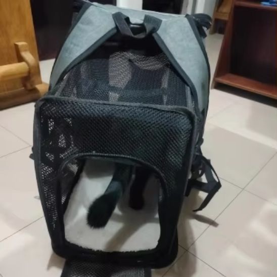 sac a dos pour chat - universmiaou