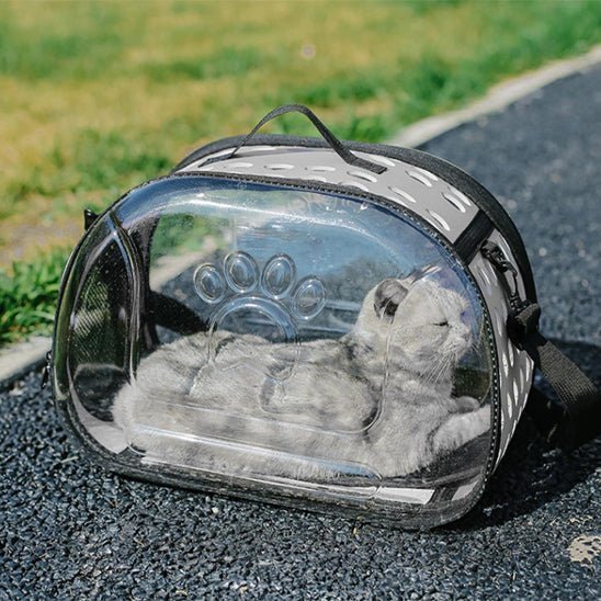sac de transport chat avion - universmiaou