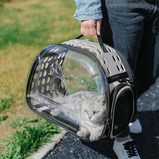 sac de transport chat avion - universmiaou