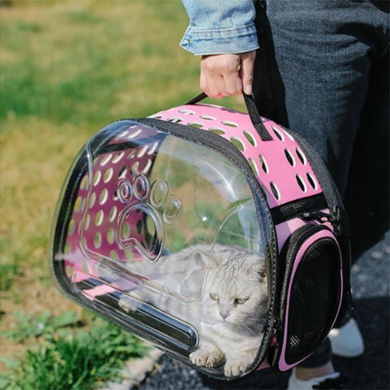 sac de transport chat avion - universmiaou