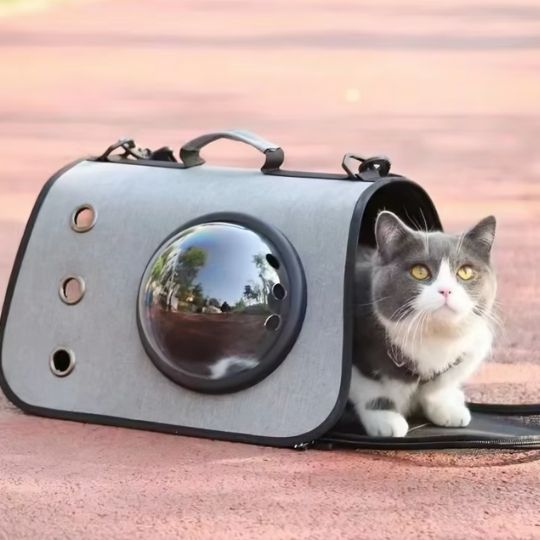 Sac de transport en bandoulière pour chats - universmiaou
