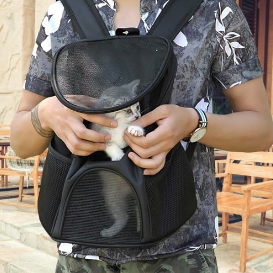 Sac de transport ventral pour chat - universmiaou