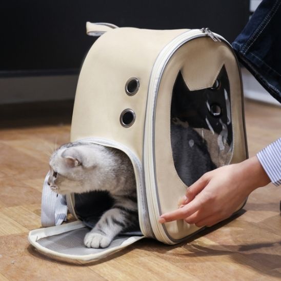 sac pour chat - universmiaou