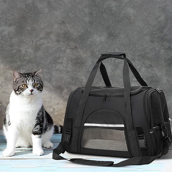 sac transport chat - universmiaou