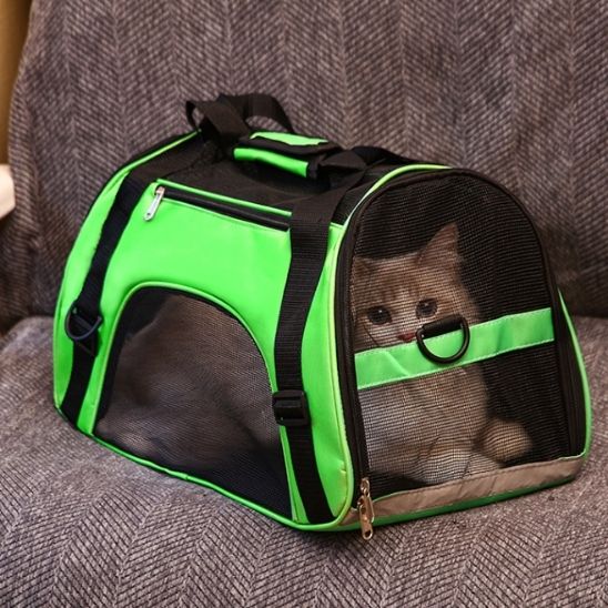 sac transport chat - universmiaou