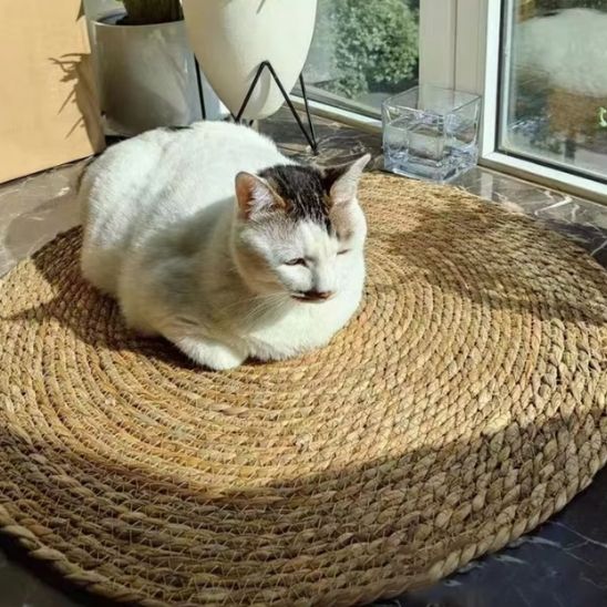 Tapis à gratter en rotin pour chat - universmiaou